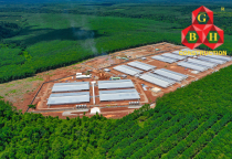 TRANG TRẠI CHĂN NUÔI HEO NEW HOPE